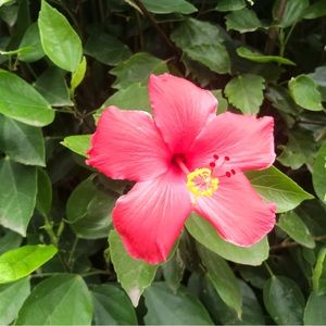 Meet your Posher, BC